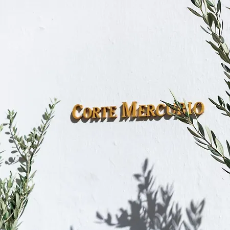 Corte Mercurio B&B-2